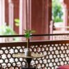 Luxurious interior with traditional Rajasthani architecture in a heritage hotel in Bikaner, India.