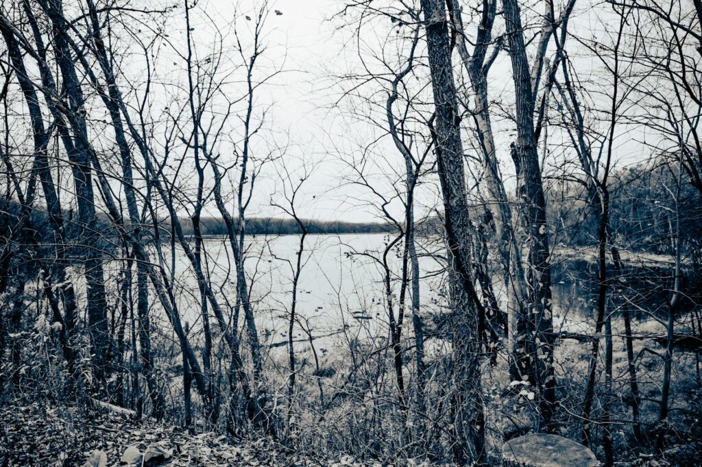 Nomad London: A Hidden Gem Among Boutique Hotels