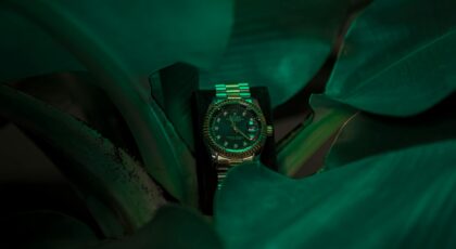 Elegant Rolex wristwatch nestled among vibrant green leaves, showcasing luxury and nature.