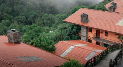 Charming red-roofed villas nestled in a misty lush forest setting, offering serenity and natural beauty.