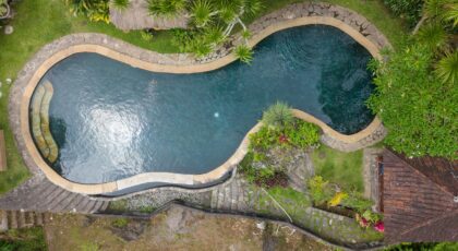 Explore a tranquil jungle pool surrounded by lush greenery in Bali, Indonesia.